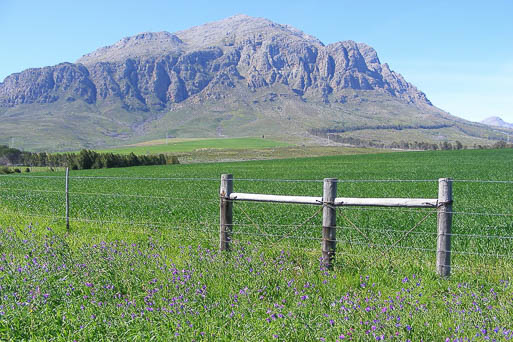 Rotary Stellenbosch Newsletter May 2026